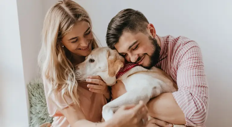 Petdardas com: Your Ultimate Hub for Pet Care Tips & Tricks